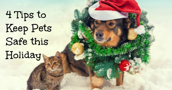Holiday Pet Safety Tips