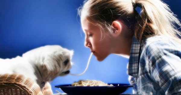 How to Pick the Best Food for Your Pet