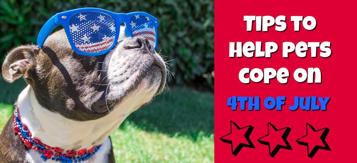 tips to help pets cope on 4th of july