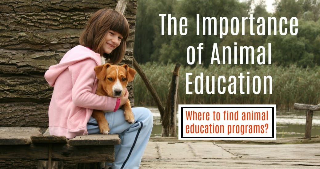 Animal Welfare and Humane Education in Kansas City
