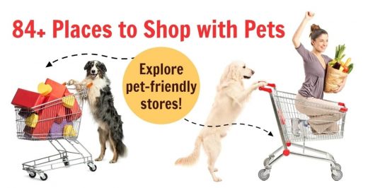 dog friendly stores in kansas city - where to shop with pets