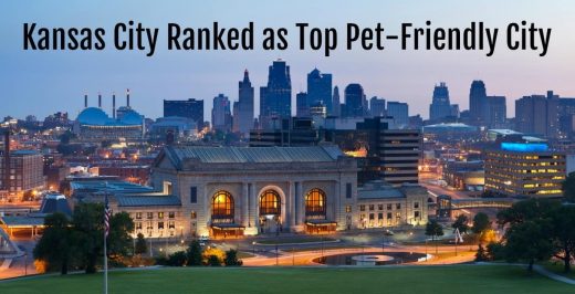 Kansas City Ranked Most Pet Friendly City