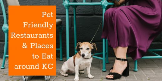 Pet Friendly Restaurants and Places to Eat in Kansas City