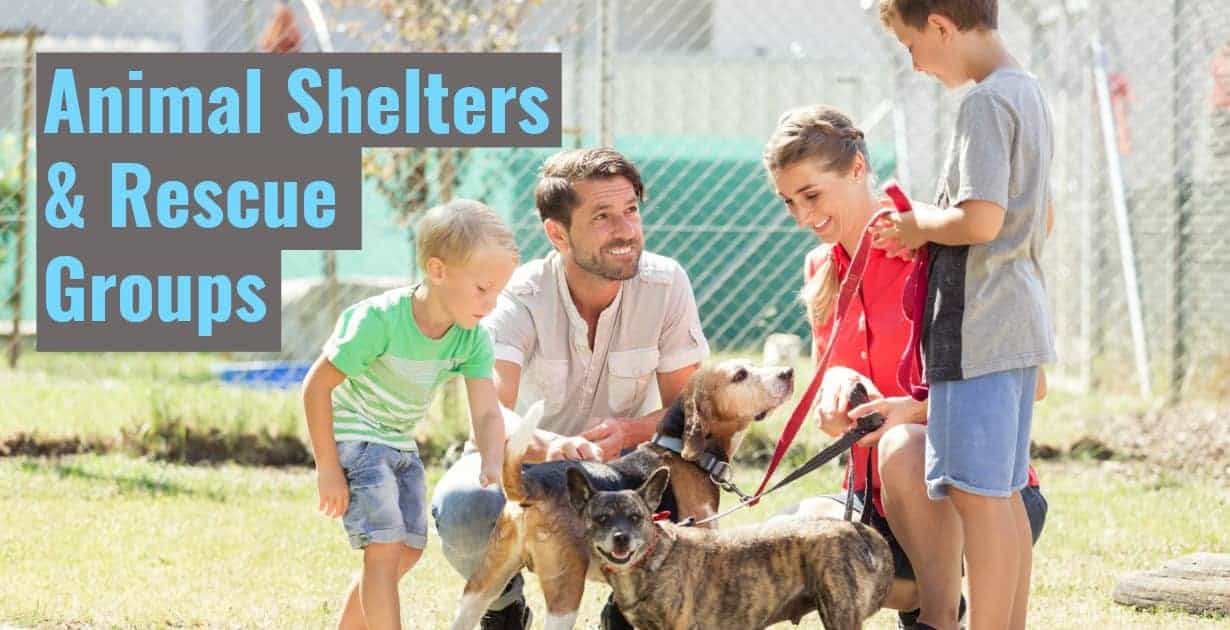 Local Animal Shelters & Rescue Centers in Kansas City • iPetsKC