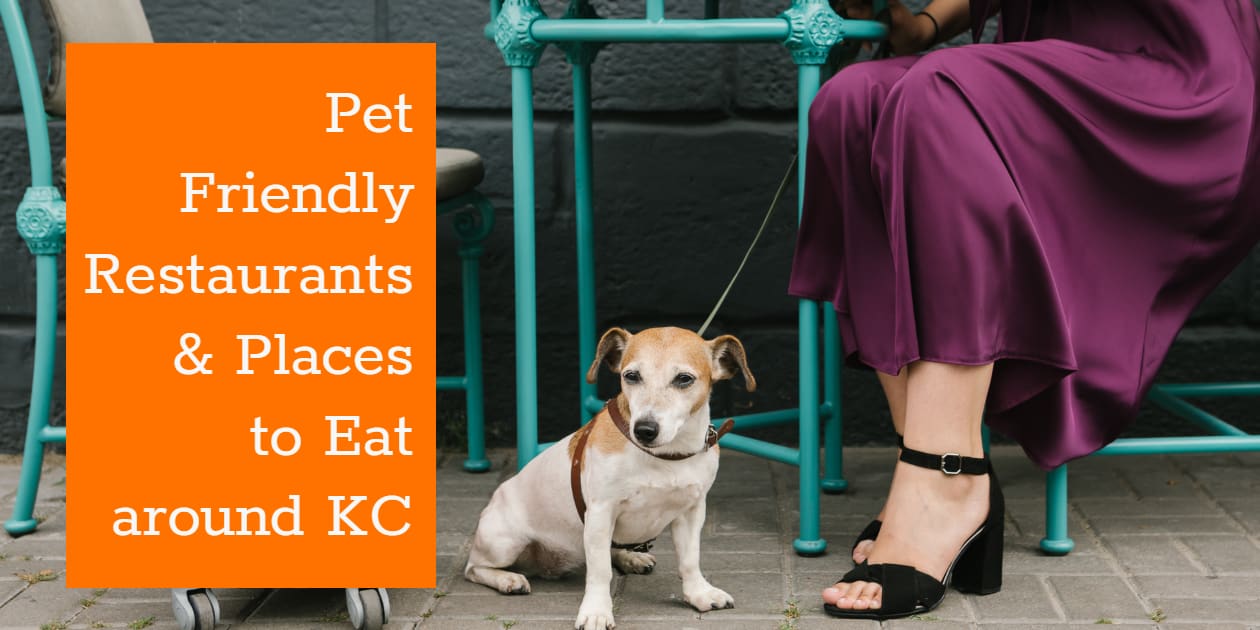 75+ Dog Friendly Restaurants in Kansas City (Full List) iPetsKC