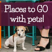 Things to Do with Pets in Kansas City & Places to Go