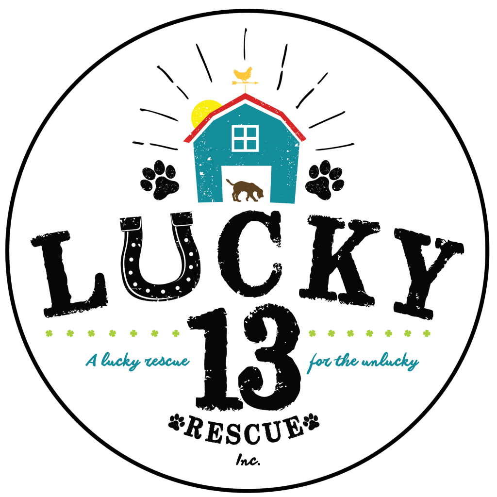 Lucky13 Rescue Logo
